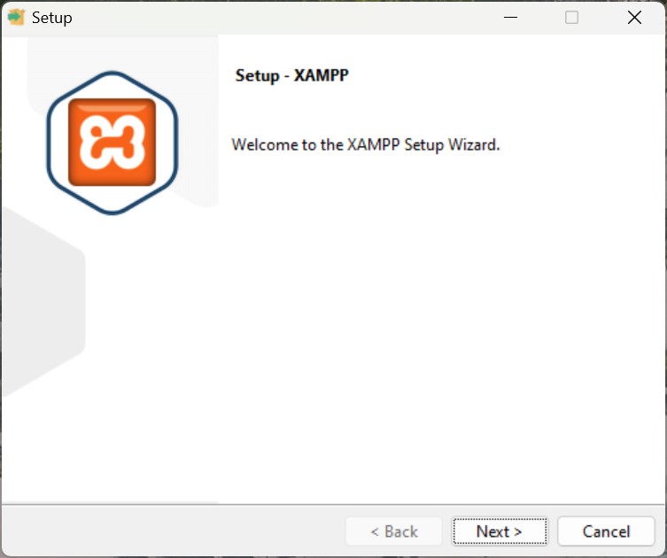 xampp-set-up-wizard